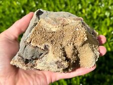 BIG Texas Calcite Crystal Cluster Mineral Stone Rock Geology picture