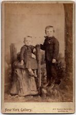 C. 1880s CABINET CARD NEW YORK GALLERY CHILDREN IN FORMAL READING PENNSYLVANIA picture