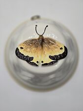 Vintage ABC Bassano Ceramic Hanging Baking Mold With Moth Butterfly Italy picture