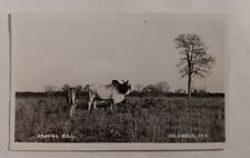 Postcard TX RPPC Columbus View Huge Brahma Bull Ranch Farm Real Photo Vintage L1 picture