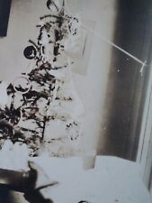  Christmas Tree Antique Photo VTG Early 1900s Ornaments Santa Droopy Charlie Br? picture
