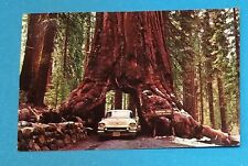 1958 California CA Yosemite National Park Wawona Tree Postcard picture