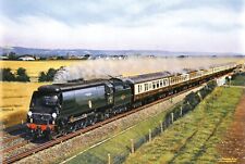 TRAINS & RAILWAYS LOCO 34067 TANGMERE OVING CHICHESTER FINE  MOUNTED PRINT picture