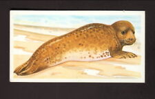 Seal--1990 Brooke Bond British Tea Card picture