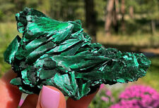 Malachite Silky Green Chatoyant Velvety Acicular Crystals Congo  9.5 Centimeters picture
