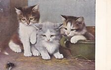 Three Kittens Postcard 1910's .. picture