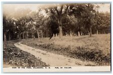 Hillsboro North Dakota ND Postcard RPPC Photo View In The Park c1910's Antique picture