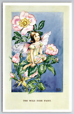 Postcard Artist Signed Rene Cloke, The Wild Rose Fairy picture