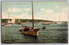 Bass Harbor, Maine ME - Fishing Fleet - Vintage Postcard - Posted 1918 picture