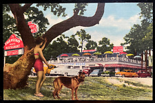 Vintage Postcard 1950 Friendship House Restaurant, Gulfport, Mississippi (MS) picture