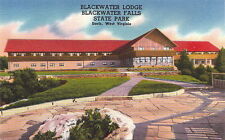  Postcard Blackwater Lodge State Park Davis West Virginia picture