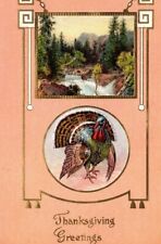 TGhanksgiving Postcard Julius Bien Turkey Waterfall Scene 9404 Vintage 1908 QI picture