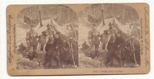 Alaska * Happy Home Tent Family with St. Bernard Stereo View  1898 Keystone SV picture