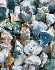 Green Tree Agate Rough Crystal Bulk Rich Green Lot Pound Stones Tumble Healing picture