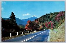 Westwood New Jersey Scenic Autumn Landscape Roadway Chrome UNP Postcard picture