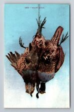 Hunted Valley Quail, Birds, Animals, Antique Vintage Souvenir Postcard picture