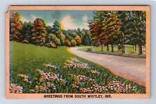 South Whitley IN-Indiana, Scenic Greetings, Roadway, Antique, Vintage Postcard picture