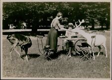 GA61 1920s Original Photo GERMANY BAVARIA MUNICH Nymphenburg Park Feeding Deer picture