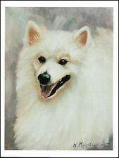 American Eskimo Note Cards  ~ AEK-2 ~ Ruth Maystead 4 pk. picture