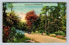 Oakland MD-Maryland, Greetings, Scenic Roadway View, Vintage c1946 Postcard picture