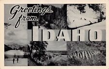 Idaho ID Greetings From Larger Not Large Letter Chrome P-182 Postcard picture