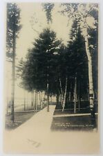 Vintage Wesquetonsing Michigan MI RPPC Sidewalk in Wesquetonsing Postcard 1905 picture