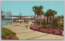 Jacksonville Florida~St John's River Park & Marina~Vintage Postcard picture