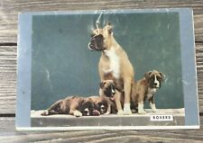 Vintage 1953 Columbus Chevrolet Boxers Dog Promo Ad Flyer Mailer picture