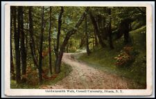 Postcard Goldwinsmith Walk Cornell University Ithaca NY C36 picture