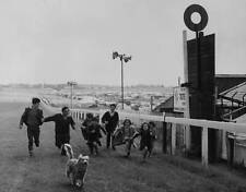 Children and their dogs from the caravan encampment on the d - 1962 Old Photo 1 picture