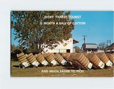 Postcard Every Yankee Tourist is Worth a Bale of Cotton Greetings from Dixie USA picture