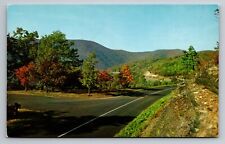 Skyline Drive Shenandoah National Park Virginia Vintage Unposted Postcard picture