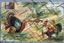 Antique Postcard 1907 embossed Thanksgiving Greetings turkeys in yard picture