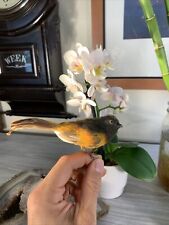Vintage Sculpted Handmade Bird Figure Real Feathers RARE Gorgeous Unknown Type picture