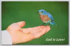 God is Love, Bluebird Eating from Hand, 1994 Postcard picture