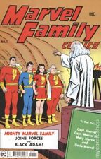 Marvel Family Facsimile Edition #1 NM 2022 Stock Image picture