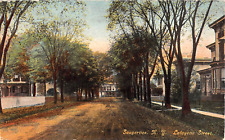 1911 Homes Lafayette St. Saugerties NY post card Ulster county picture
