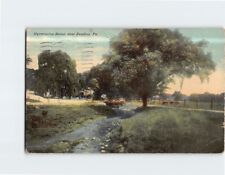 Postcard Wyomissing Scene near Reading Pennsylvania USA picture