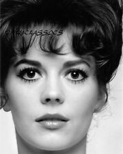 BEAUTIFUL SEXY HOT ACTRESS NATALIE WOOD 8X10 B&W PORTRAIT PHOTO PINUP CHEESECAKE picture