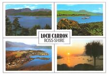 Ross Shire Loch Carron Village Wellingtons Nose Unposted Chrome Postcard picture