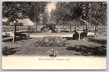 Postcard Scene In City Park, Cheyenne, Wyoming Posted 1908 picture
