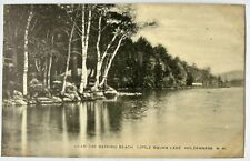 Bathing Beach. Little Squam Lake. Holderness New Hampshire NH postcard picture