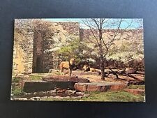 Lions in the Barless Grotto Philadelphia Zoological Garden Pennsylvania Postcard picture