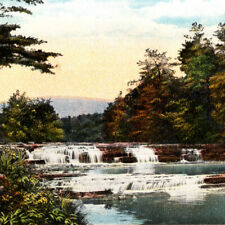 Vintage 1910s Kaaterskill Creek And Rapids High Falls Catskill Mountain Postcard picture