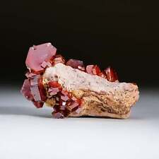 Genuine Vanadinite Crystal Cluster on Matrix from Morocco (92.3 grams) picture