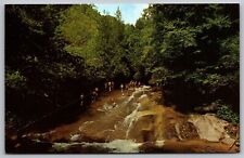 Sliding Rock Looking Glass Creek Pisgah National Forest North Carolina Postcard picture