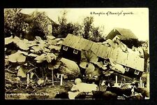 1910 Giant Pumpkins Growing Through House Exaggerated Real Photo Postcard  picture