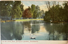 1908 Swan Ponds Zoological Gardens Philadelphia Pennsylvania PA Postcard picture