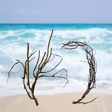 Set of 2 Natural Black Corals,  Tree Branch, Sea Fan, Coral beach decor picture