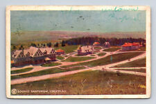 c1907 Loomis Sanitorium Liberty New York NY Postcard picture